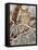 Hidden Hunter-William Vanderdasson-Framed Premier Image Canvas