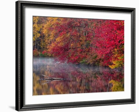 Hidden Lake, Pennsylvania, USA-Jay O'brien-Framed Photographic Print