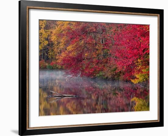 Hidden Lake, Pennsylvania, USA-Jay O'brien-Framed Photographic Print