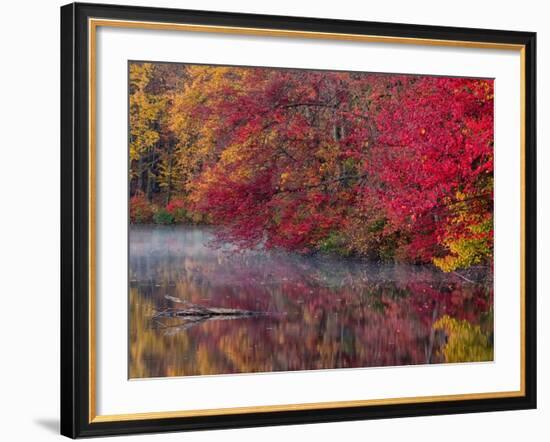 Hidden Lake, Pennsylvania, USA-Jay O'brien-Framed Photographic Print