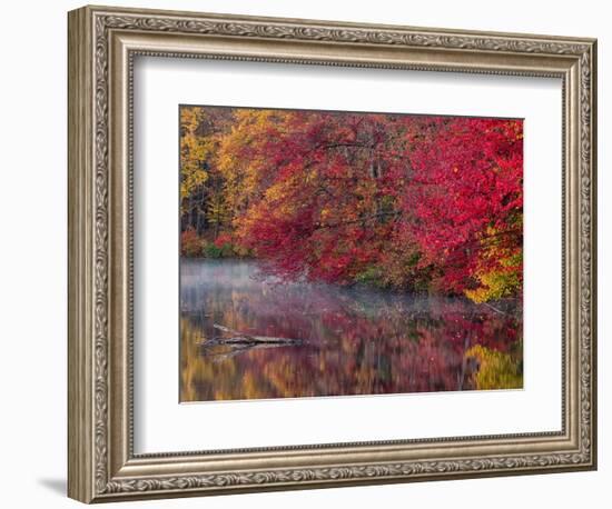 Hidden Lake, Pennsylvania, USA-Jay O'brien-Framed Photographic Print