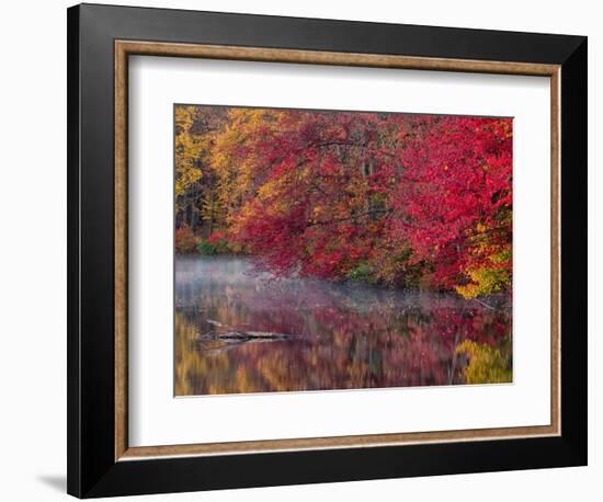 Hidden Lake, Pennsylvania, USA-Jay O'brien-Framed Photographic Print