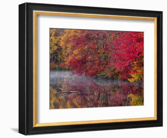 Hidden Lake, Pennsylvania, USA-Jay O'brien-Framed Photographic Print