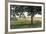 Hidden Pasture-Megan Lightell-Framed Art Print