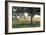 Hidden Pasture-Megan Lightell-Framed Giclee Print