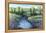 Hidden Pond-Tim O'toole-Framed Premier Image Canvas