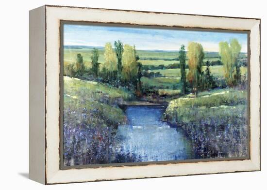 Hidden Pond-Tim O'toole-Framed Premier Image Canvas