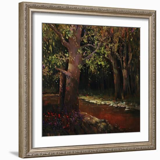 Hidden Stream Forest-Tim O'toole-Framed Giclee Print