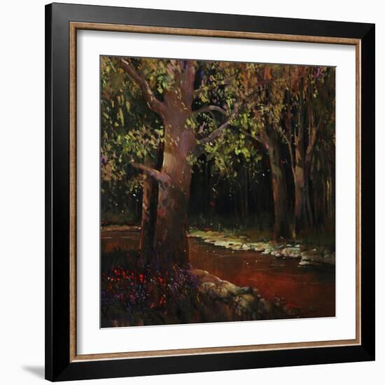 Hidden Stream Forest-Tim O'toole-Framed Giclee Print