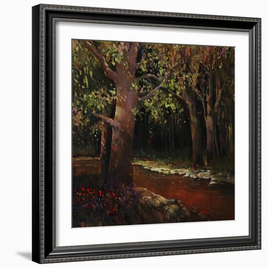 Hidden Stream Forest-Tim O'toole-Framed Giclee Print