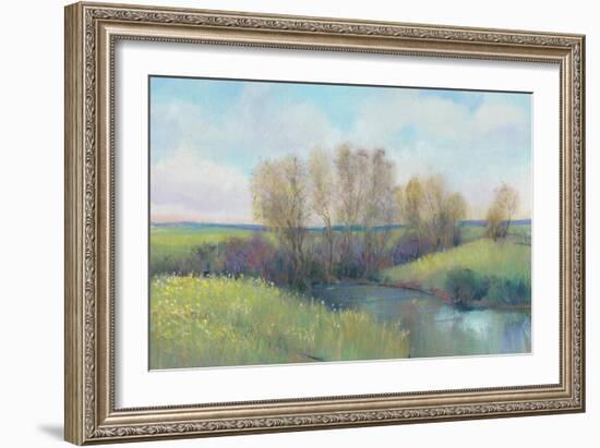 Hidden Stream II-Tim O'toole-Framed Art Print