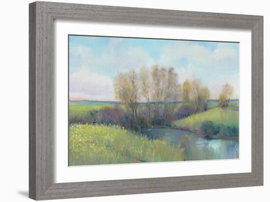 Hidden Stream II-Tim O'toole-Framed Art Print