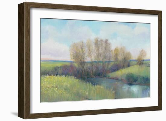 Hidden Stream II-Tim O'toole-Framed Art Print