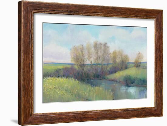 Hidden Stream II-Tim O'toole-Framed Art Print