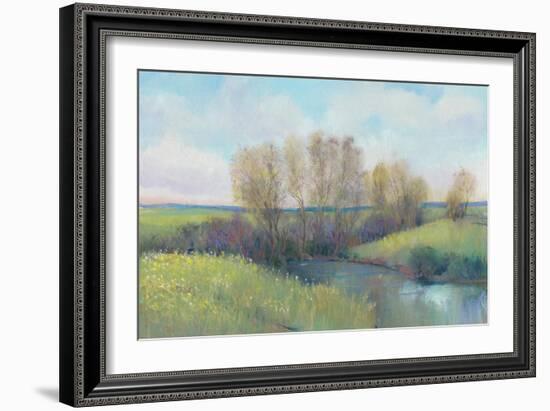 Hidden Stream II-Tim O'toole-Framed Art Print