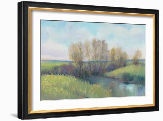 Hidden Stream II-Tim O'toole-Framed Art Print