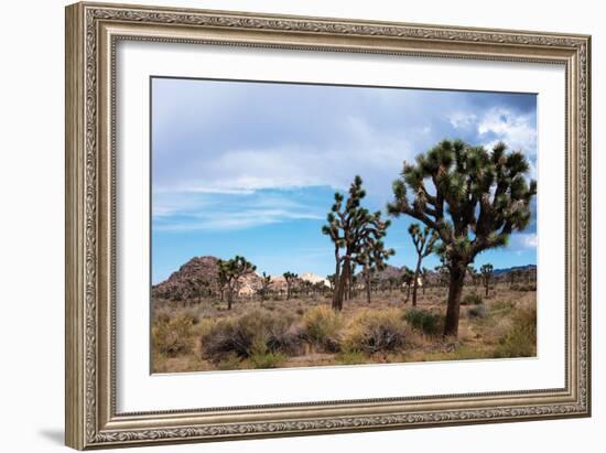 Hidden Valley I-Erin Berzel-Framed Photographic Print