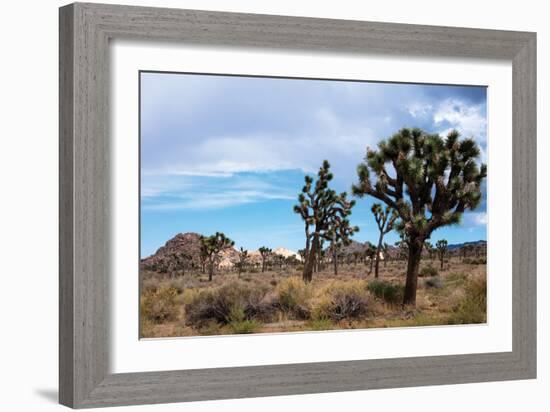 Hidden Valley I-Erin Berzel-Framed Photographic Print