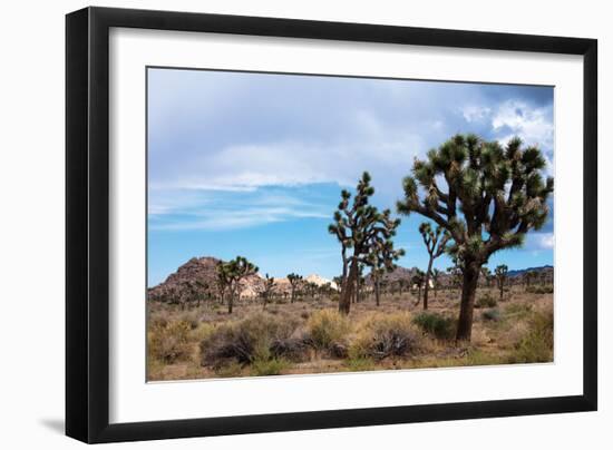 Hidden Valley I-Erin Berzel-Framed Photographic Print