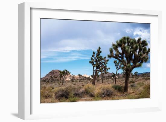 Hidden Valley I-Erin Berzel-Framed Photographic Print