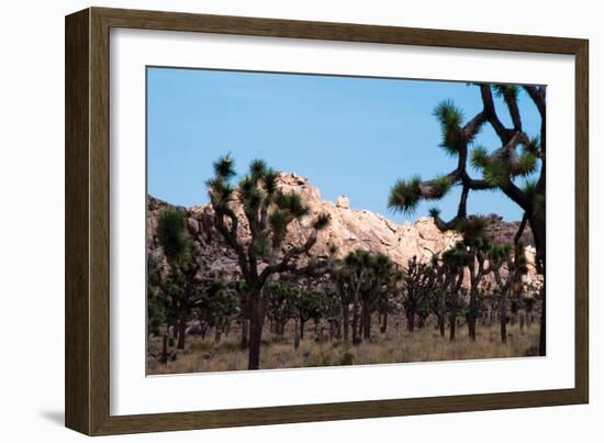 Hidden Valley II-Erin Berzel-Framed Photographic Print