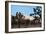 Hidden Valley II-Erin Berzel-Framed Photographic Print