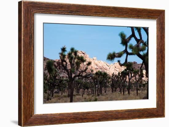 Hidden Valley II-Erin Berzel-Framed Photographic Print