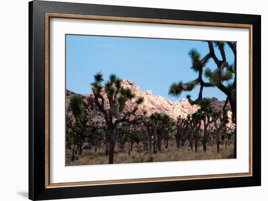 Hidden Valley II-Erin Berzel-Framed Photographic Print