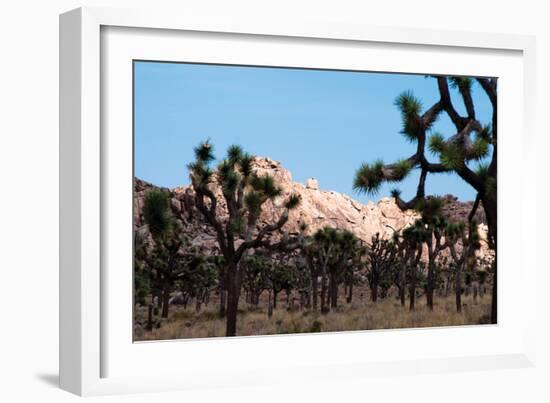 Hidden Valley II-Erin Berzel-Framed Photographic Print