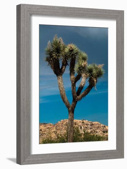 Hidden Valley III-Erin Berzel-Framed Photographic Print