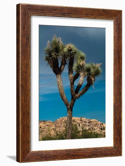 Hidden Valley III-Erin Berzel-Framed Photographic Print