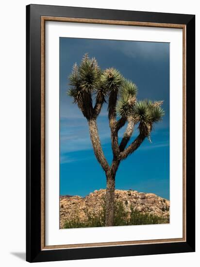 Hidden Valley III-Erin Berzel-Framed Photographic Print