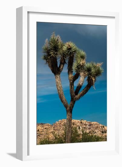 Hidden Valley III-Erin Berzel-Framed Photographic Print