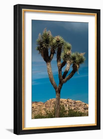 Hidden Valley III-Erin Berzel-Framed Photographic Print