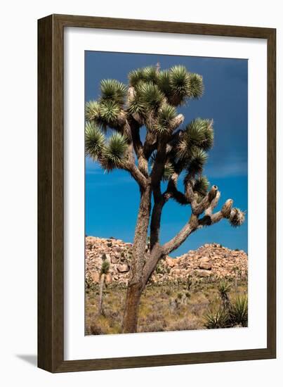 Hidden Valley IV-Erin Berzel-Framed Photographic Print