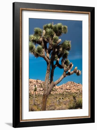 Hidden Valley IV-Erin Berzel-Framed Photographic Print