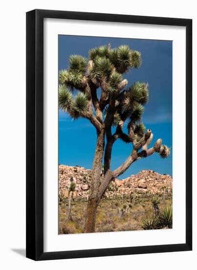 Hidden Valley IV-Erin Berzel-Framed Photographic Print