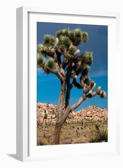 Hidden Valley IV-Erin Berzel-Framed Photographic Print