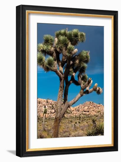 Hidden Valley IV-Erin Berzel-Framed Photographic Print