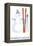 Hidden Valley, Pennsylvania, Snowman with Skis-Lantern Press-Framed Stretched Canvas