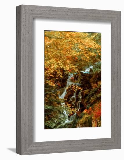 Hidden Waterfall-Lars Van de Goor-Framed Photographic Print