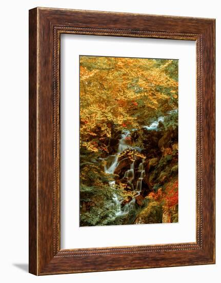 Hidden Waterfall-Lars Van de Goor-Framed Photographic Print