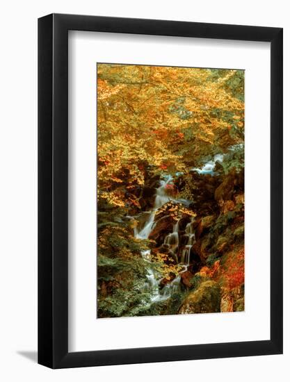 Hidden Waterfall-Lars Van de Goor-Framed Photographic Print