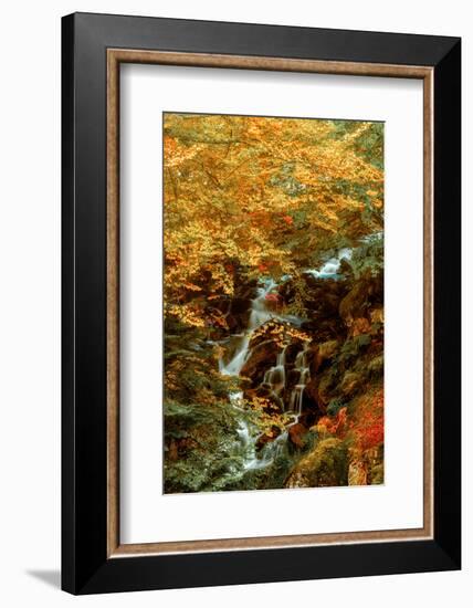 Hidden Waterfall-Lars Van de Goor-Framed Photographic Print