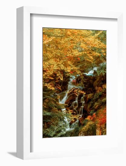 Hidden Waterfall-Lars Van de Goor-Framed Photographic Print