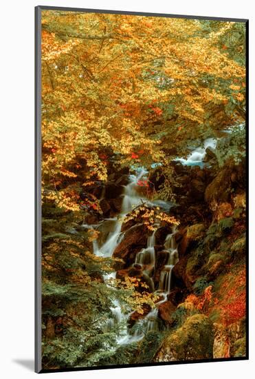 Hidden Waterfall-Lars Van de Goor-Mounted Photographic Print