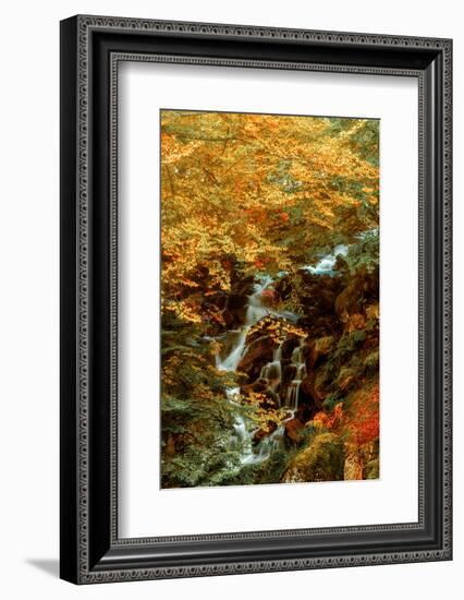 Hidden Waterfall-Lars Van de Goor-Framed Photographic Print