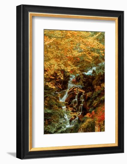 Hidden Waterfall-Lars Van de Goor-Framed Photographic Print