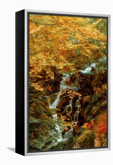 Hidden Waterfall-Lars Van de Goor-Framed Premier Image Canvas