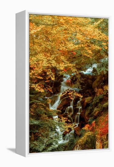 Hidden Waterfall-Lars Van de Goor-Framed Premier Image Canvas